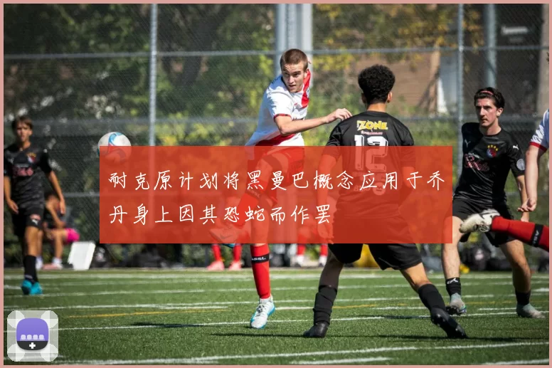 耐克原计划将黑曼巴概念应用于乔丹身上因其恐蛇而作罢